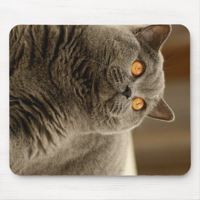 british shorthair blue mouse pad (Front)