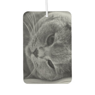 British Shorthair Cat Air Freshener