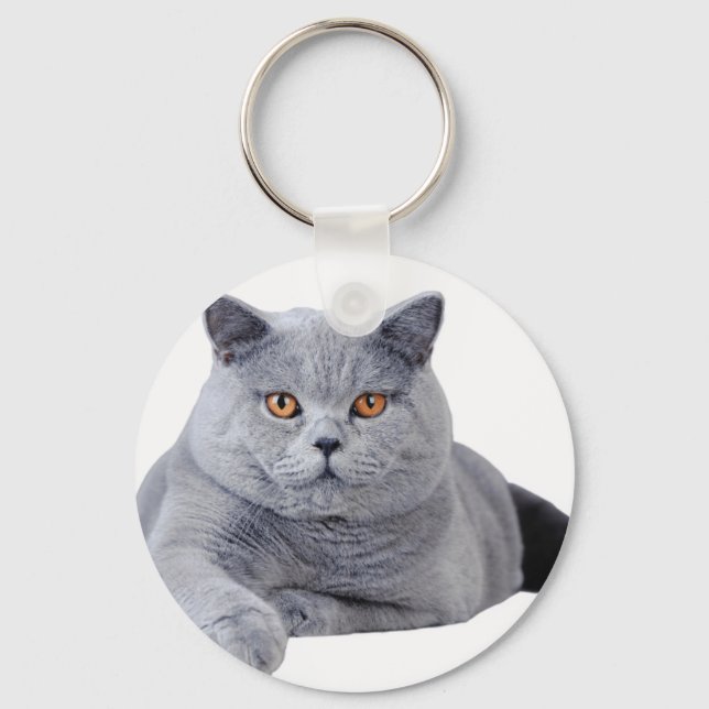 British shorthair cat keychain (Front)