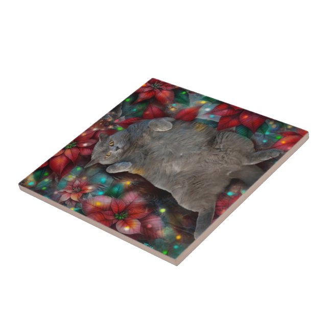 British Shorthair Cat Kitty Poinsettias Christmas  Tile (Side)