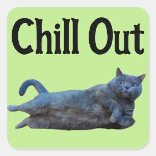 British Shorthair Cat Laying on Side Chill Out Square Sticker
