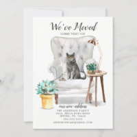 British Shorthair Cat Moving Announcement