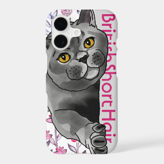 British Shorthair Cat + Pet Name