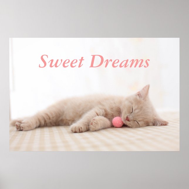 British Shorthair Cat Poster (Front)