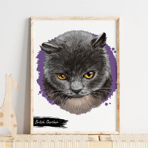 British Shorthair Cat Print | Cat Wall Print