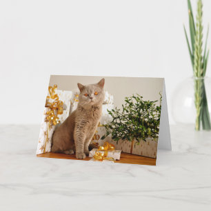 British Shorthair Cat Purr-fect Holiday Season Card