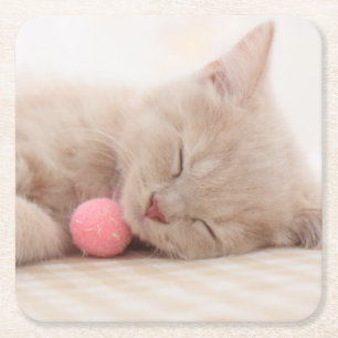 British Shorthair Cat Square Paper Coaster