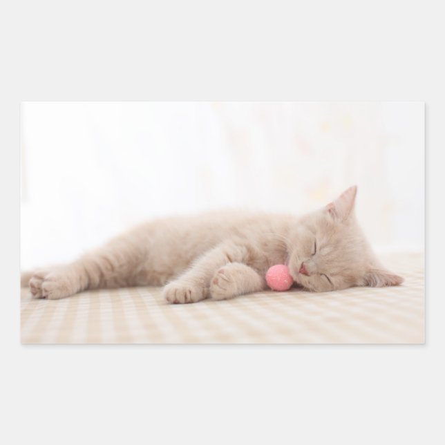 British Shorthair Cat Sticker (Front)