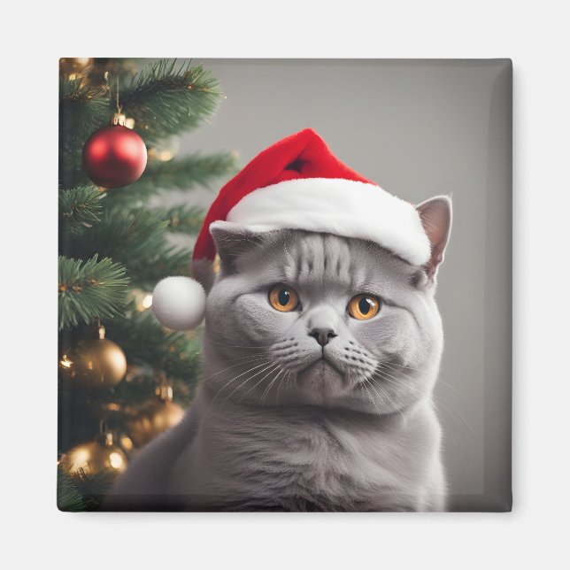 British Shorthair Christmas Magnet (Front)