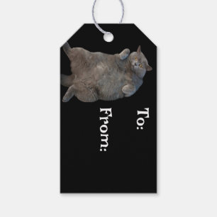 British Shorthair Fat Cat Laying on Back Gift Tags