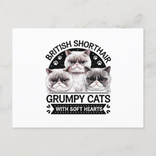 British Shorthair Grumpy Cats Postcard