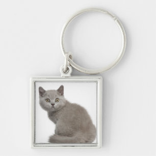 British Shorthair Kitten (10 weeks old) Keychain