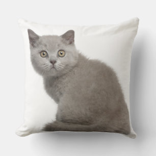 British Shorthair Kitten (10 weeks old) Throw Pillow