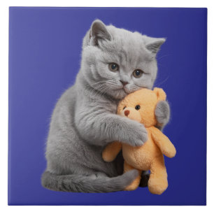 British Shorthair Kitten and Teddy Bear Decorative Tile