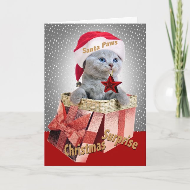 British Shorthair Kitten Christmas Surprise Cards (Front)