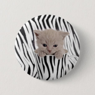 British shorthair kitten in mug 2 inch round button