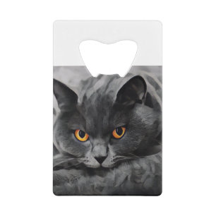 British Shorthair Kitty Credit Card Bottle Opener