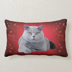 British shorthair love cat lumbar pillow