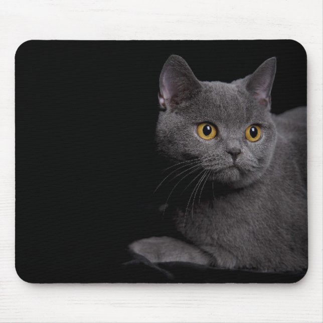 British Shorthair Mousepad (Front)