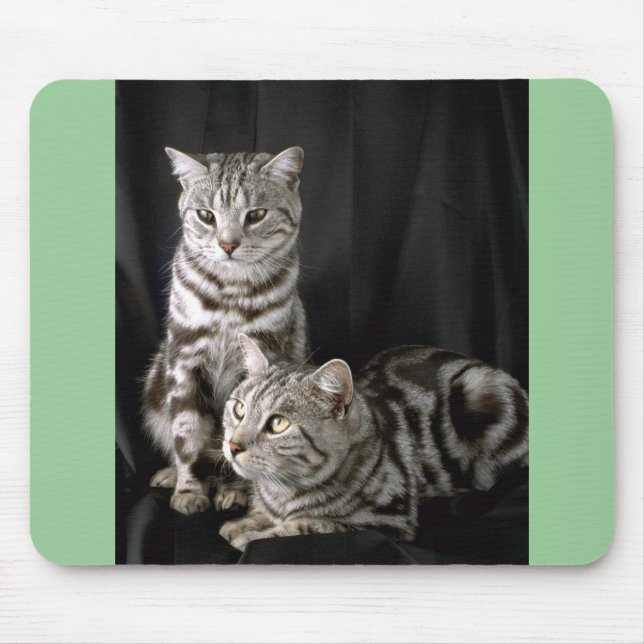 British Shorthair, silver tabby Mouse Pad (Front)