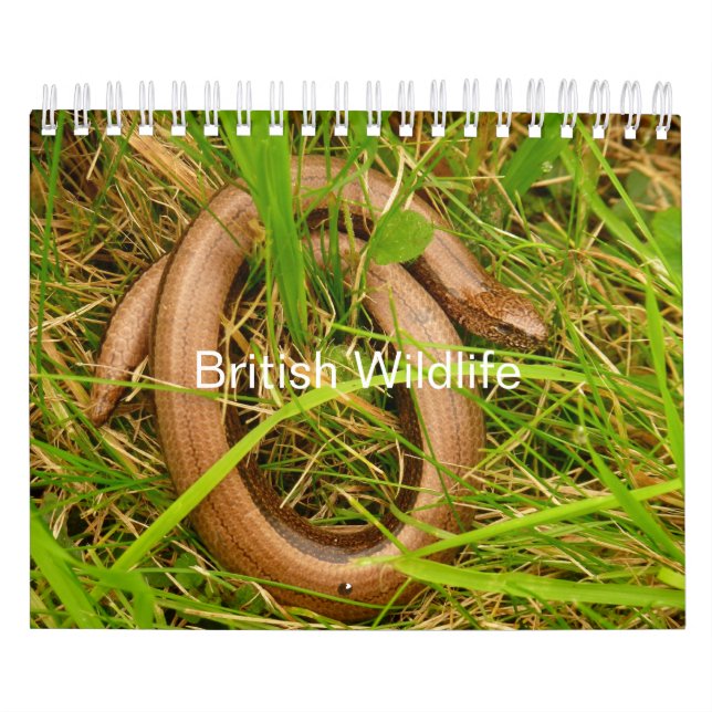 British Wildlife Calendar (Cover)