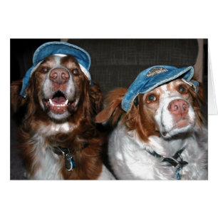 BRITS EN CASQUETTE