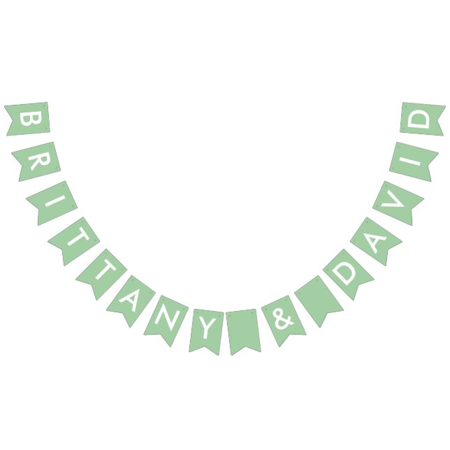 Brittany and David Bridal Shower Banner (All)