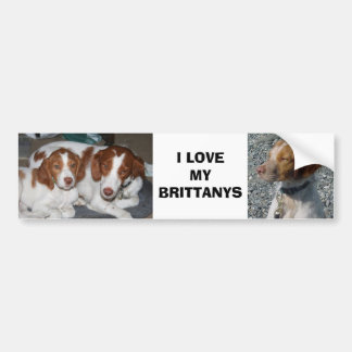 Brittany Bumper Sticker