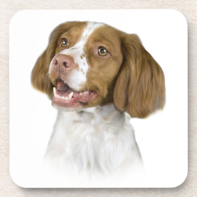 Brittany Coasters (Front)