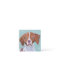 Brittany Dog