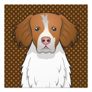 Brittany Dog Cartoon Paws Photo Print