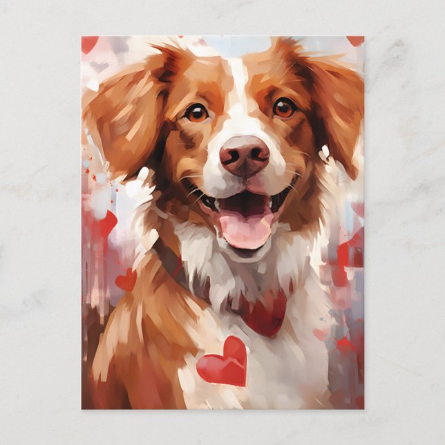 Brittany dog Valentines day Postcard (Front)