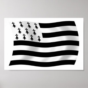 Brittany Flag Poster Print