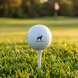 Brittany Golf Dad Titleist Pro V1 Golf Ball Gift