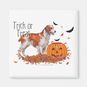 Brittany Halloween Magnet