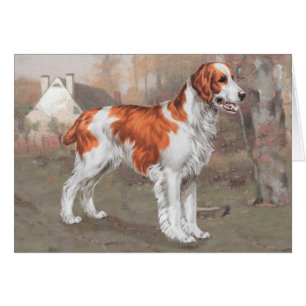 Brittany in the field