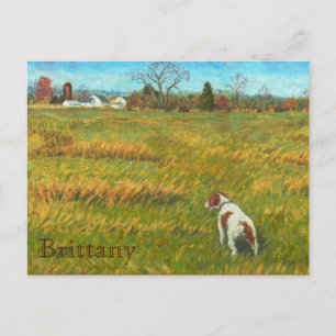 Brittany in the Field Postcard