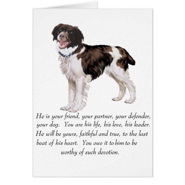 Brittany Keepsake - Male Dog (Front)