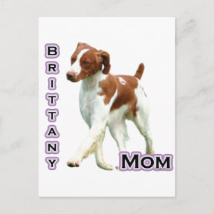 Brittany Mom 4 Postcard