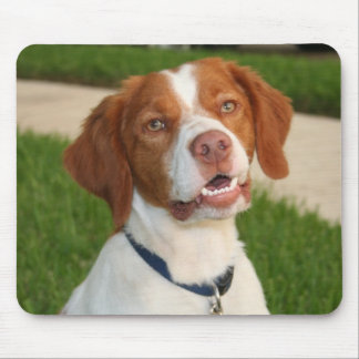 Brittany Mouse Pad