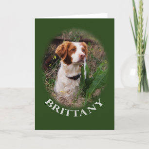 Brittany Note Card