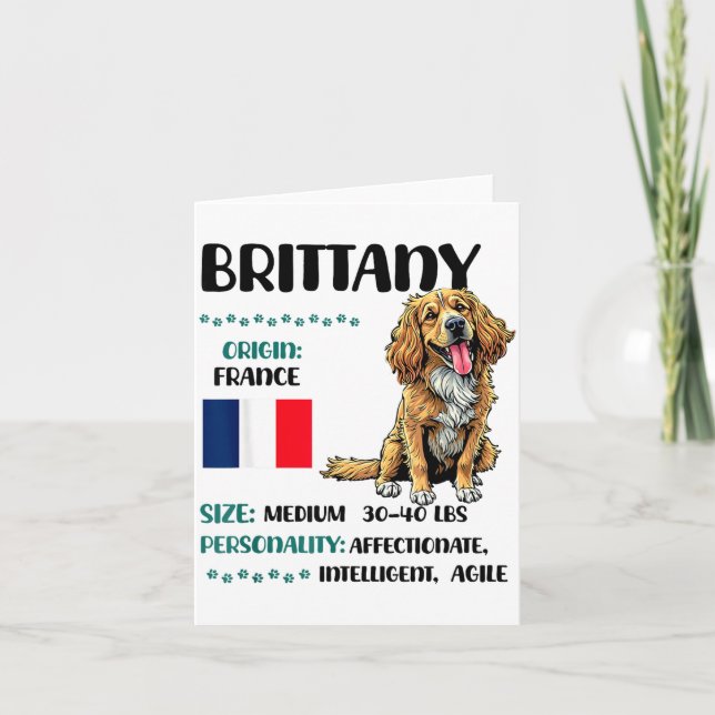 Brittany Origin Funny Brittany Dog Lover  Card (Front)
