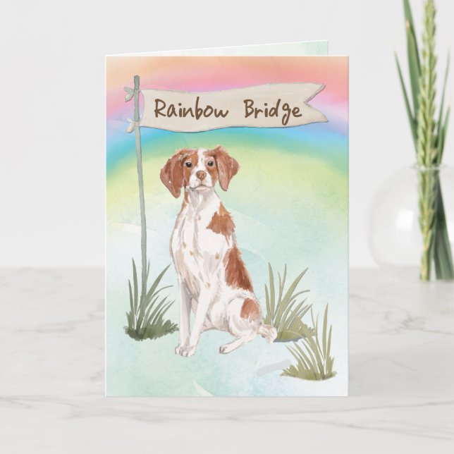 Brittany Pet Sympathy Over Rainbow Bridge Card (Front)