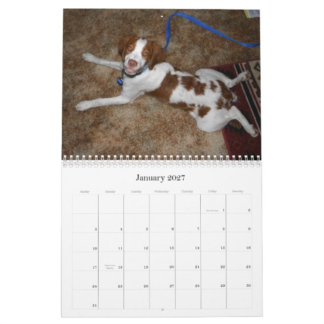 Brittany Puppies Calendar 2009 (Jan 2027)