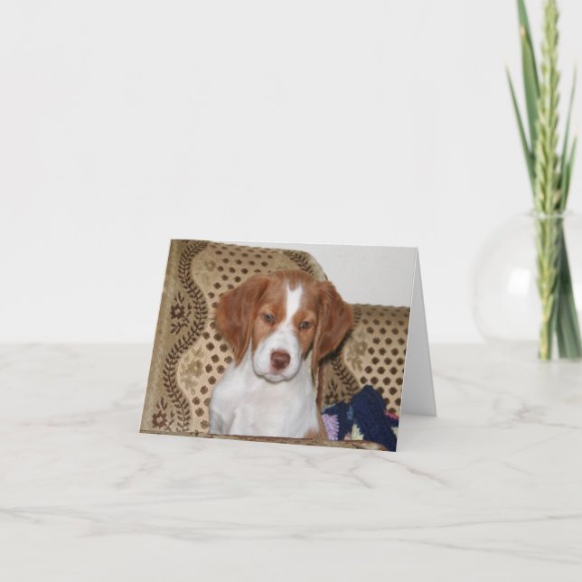 Brittany Puppy Notecard (Front)