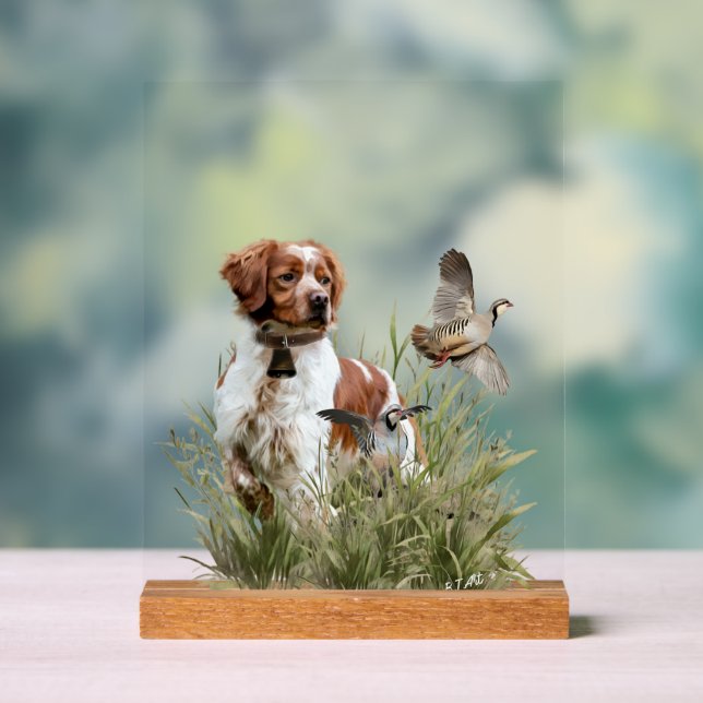 Brittany Spaniel (Neutre)