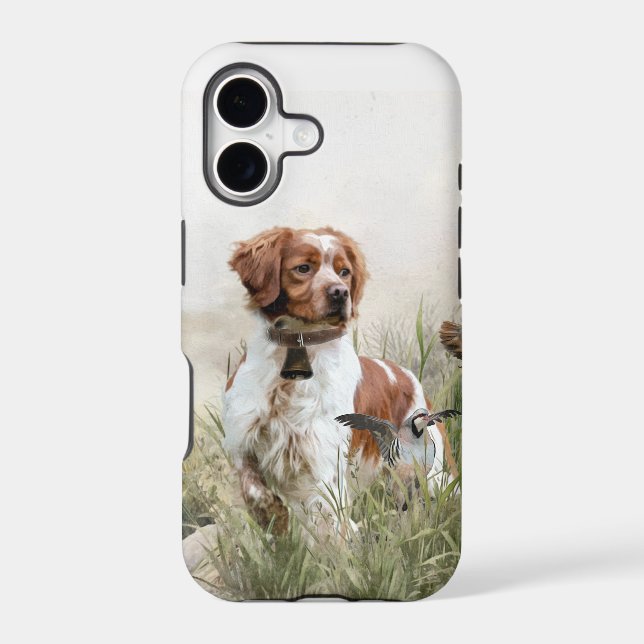 Brittany Spaniel  (Verso)