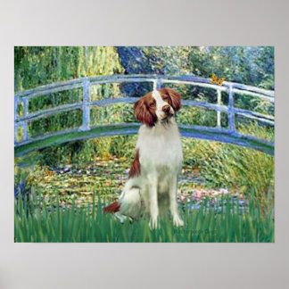 Brittany Spaniel 3 - Lily Pond Bridge Poster