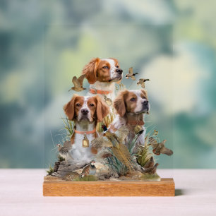 Brittany Spaniel Acrylic Sign