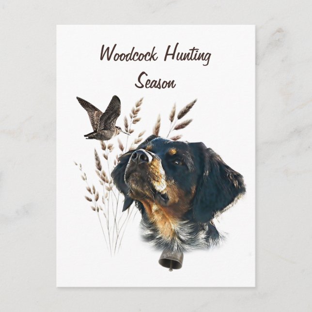Brittany Spaniel and woodcock  Postcard (Front)
